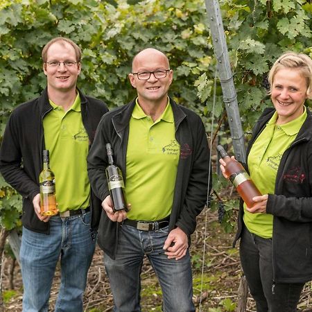 Apartamento Weingut Schaaf Lauffen am Neckar Exterior foto