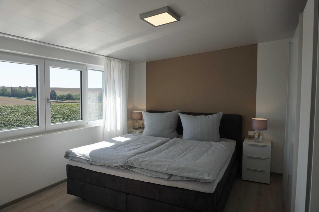 Apartamento Weingut Schaaf Lauffen am Neckar Exterior foto