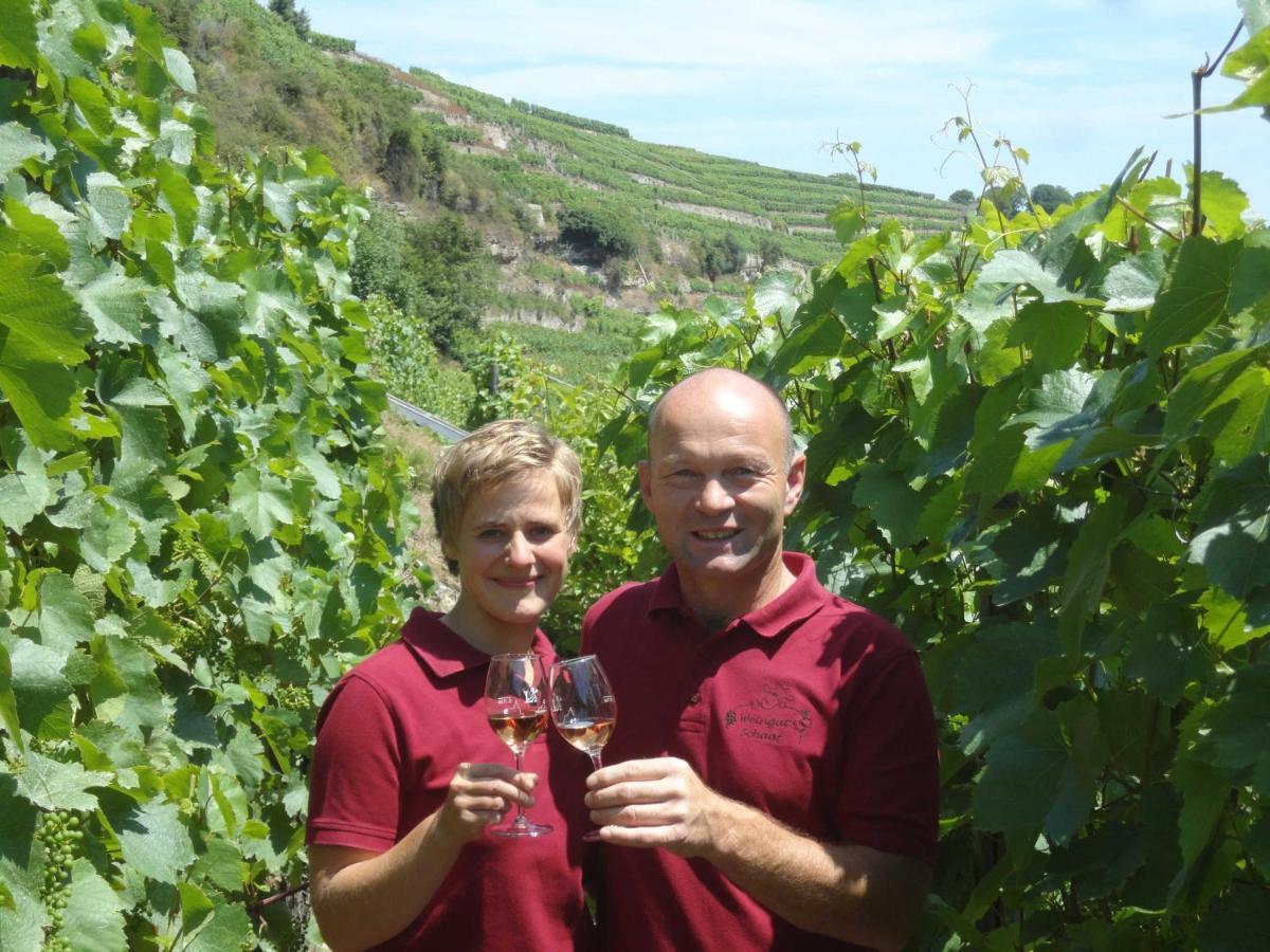 Apartamento Weingut Schaaf Lauffen am Neckar Exterior foto