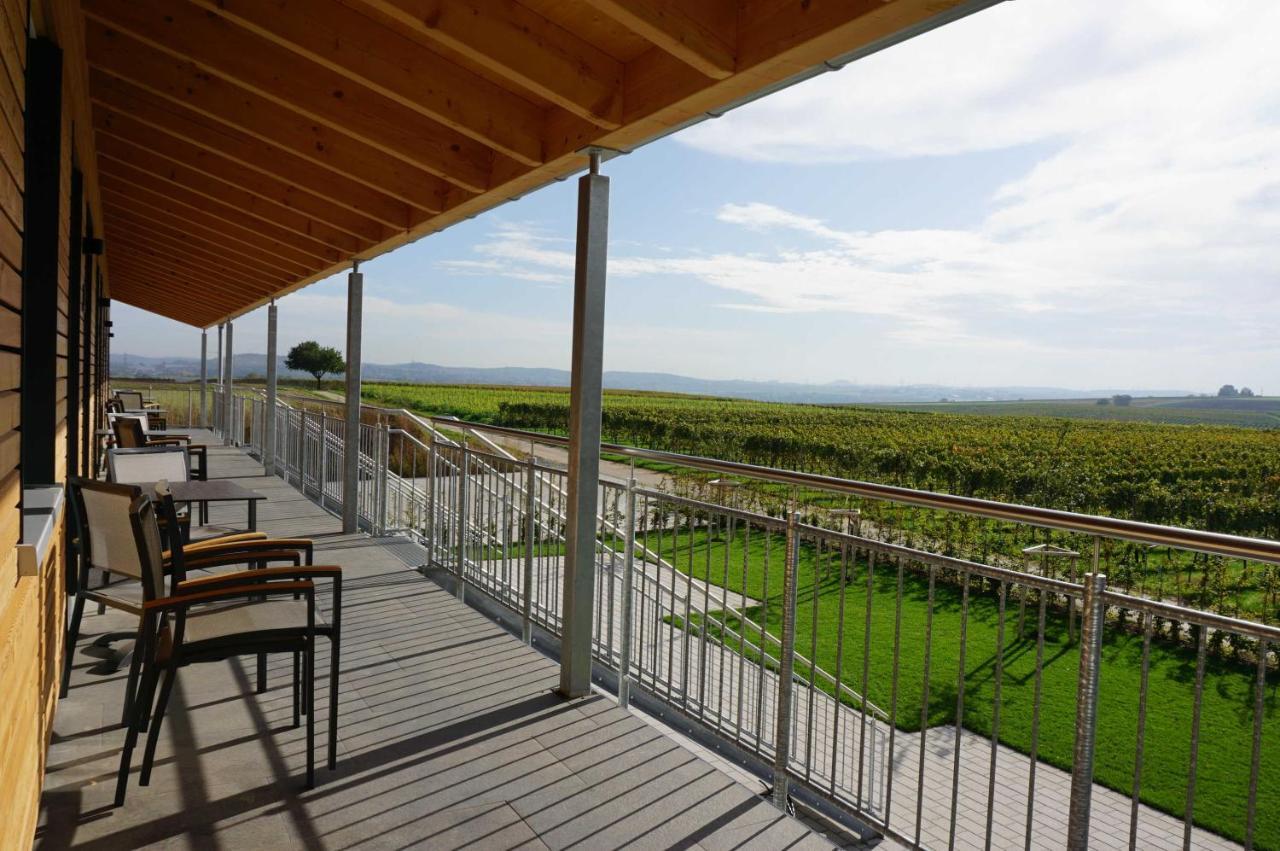 Apartamento Weingut Schaaf Lauffen am Neckar Exterior foto